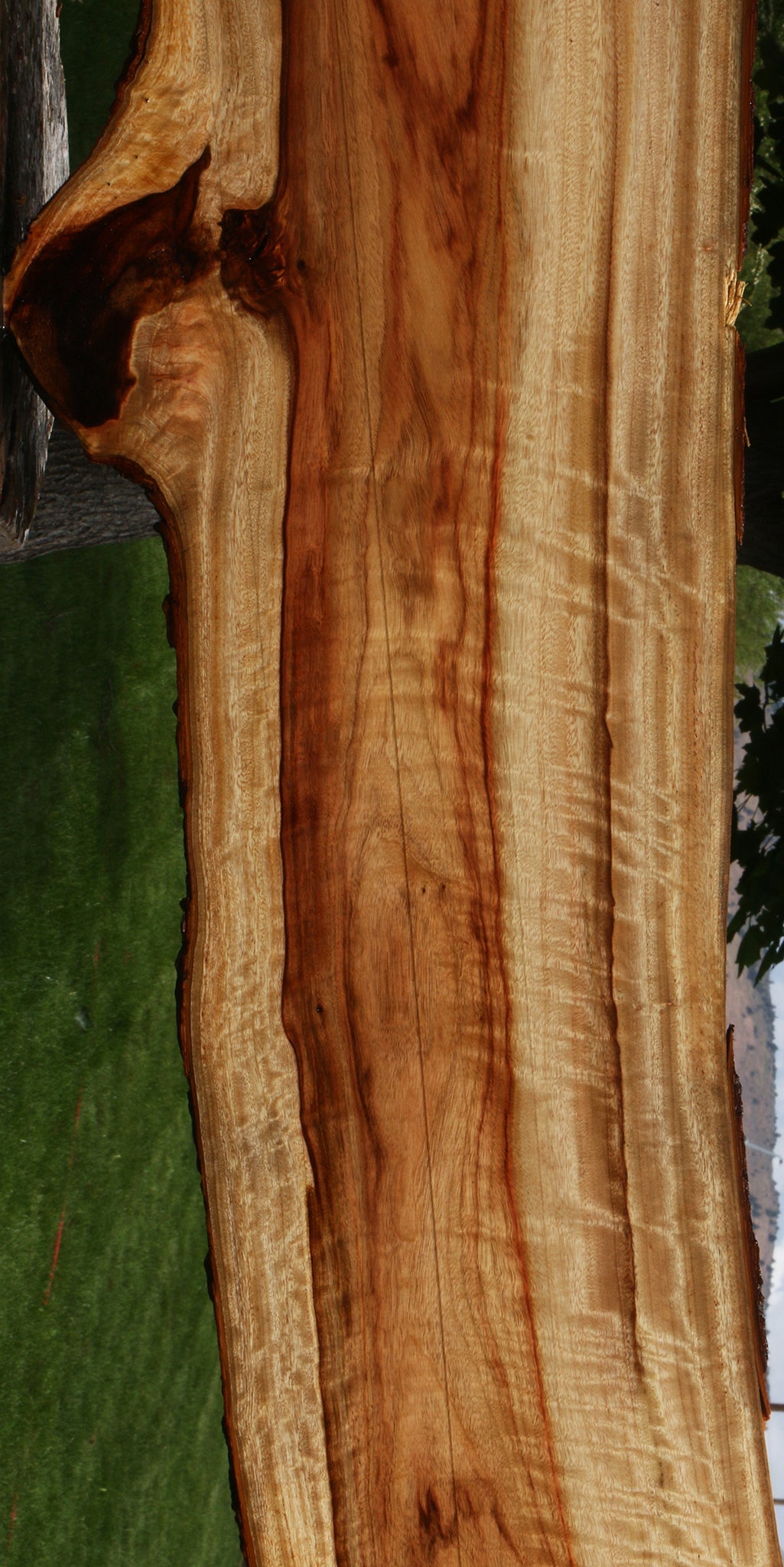 Extra Fancy Camphor Live Edge Lumber