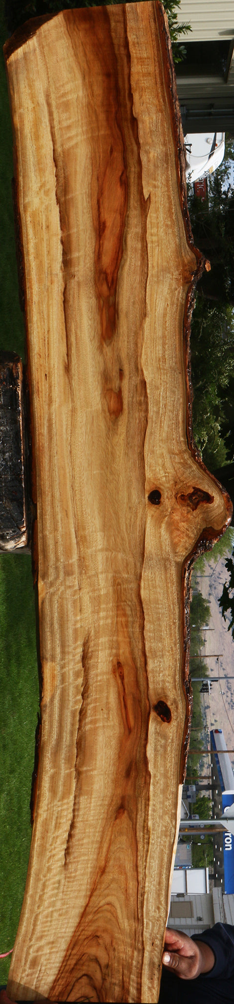 Extra Fancy Camphor Live Edge Lumber