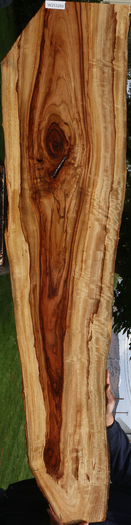 Extra Fancy Camphor Live Edge Lumber