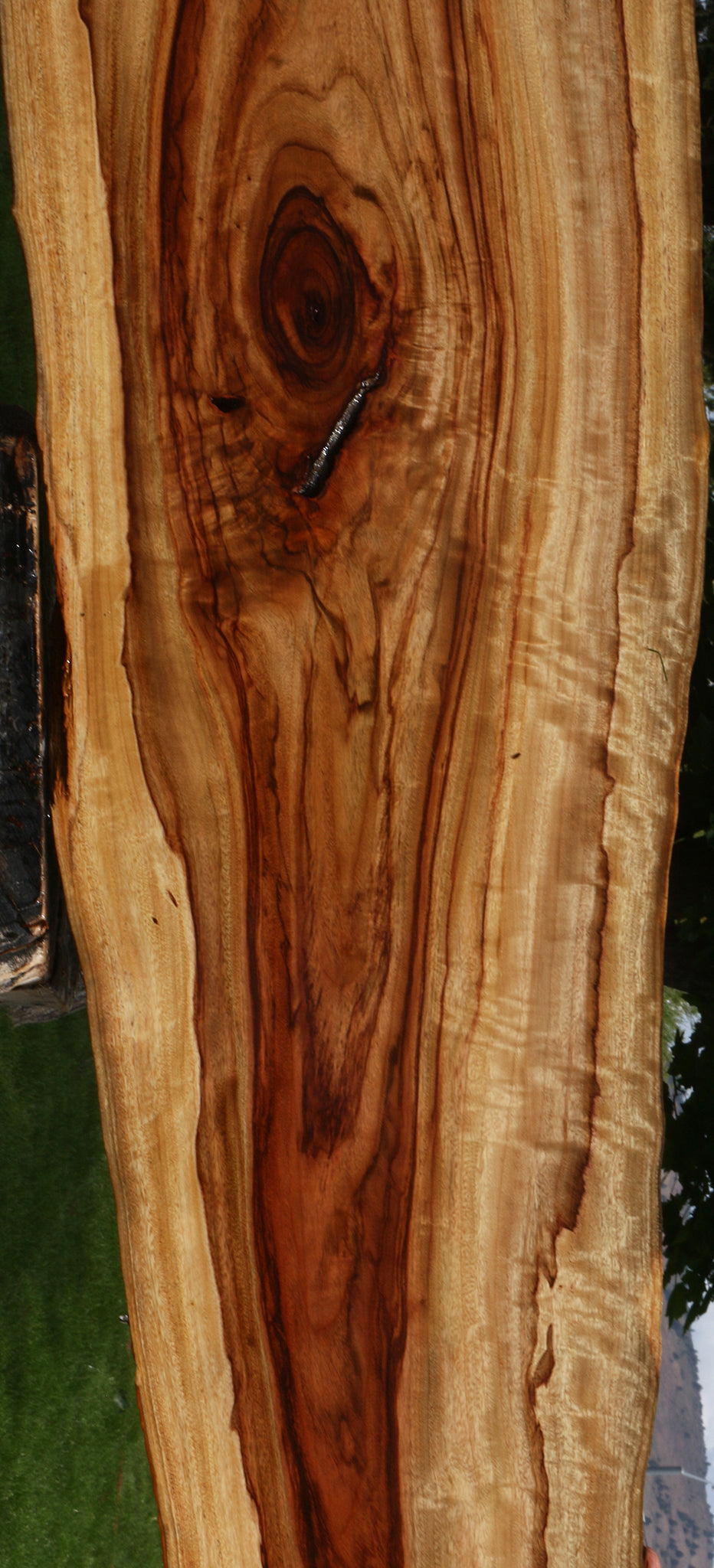 Extra Fancy Camphor Live Edge Lumber