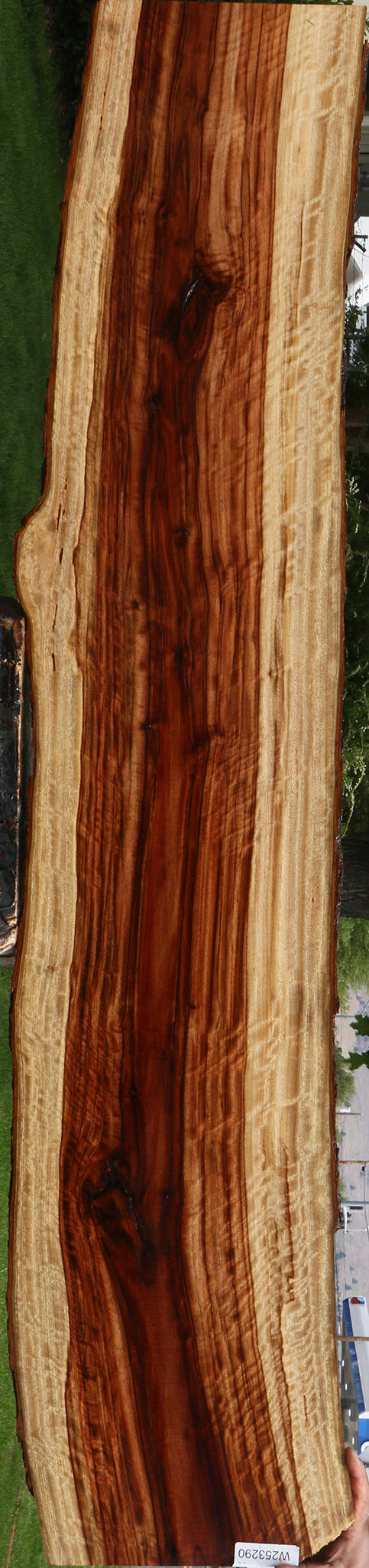 Extra Fancy Camphor Live Edge Lumber