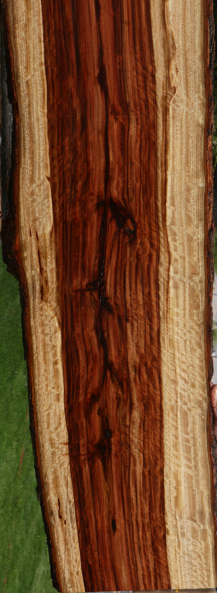 Extra Fancy Camphor Live Edge Lumber