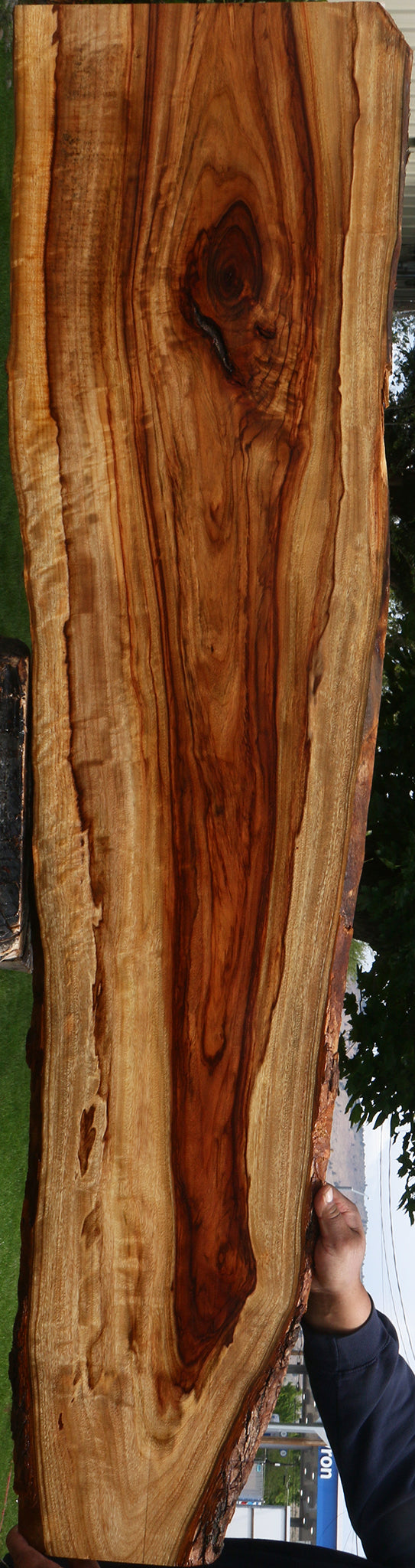 Extra Fancy Camphor Live Edge Lumber