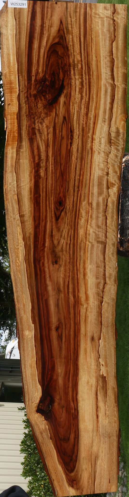 Extra Fancy Camphor Live Edge Lumber