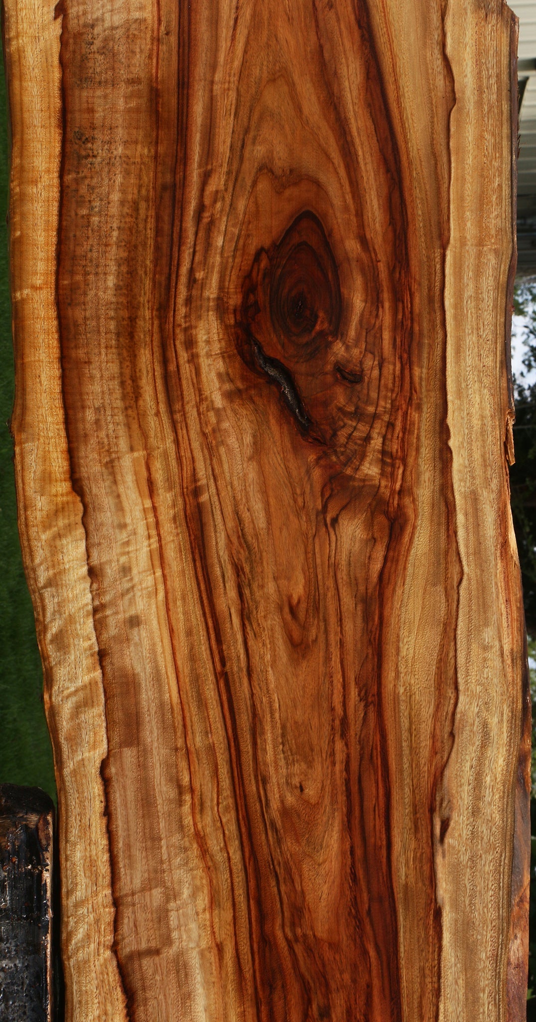 Extra Fancy Camphor Live Edge Lumber