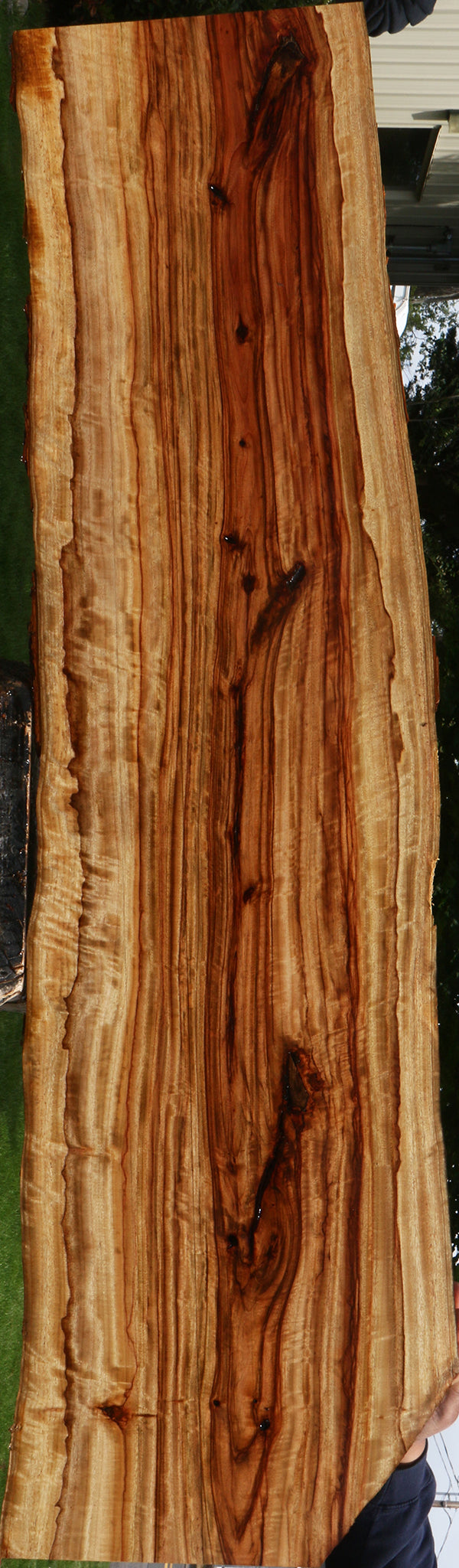 Extra Fancy Camphor Live Edge Lumber
