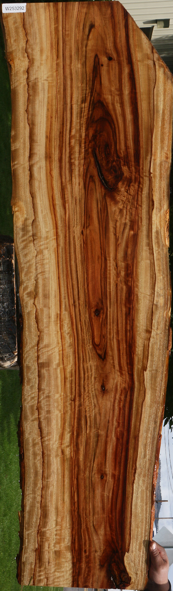 Extra Fancy Camphor Live Edge Lumber