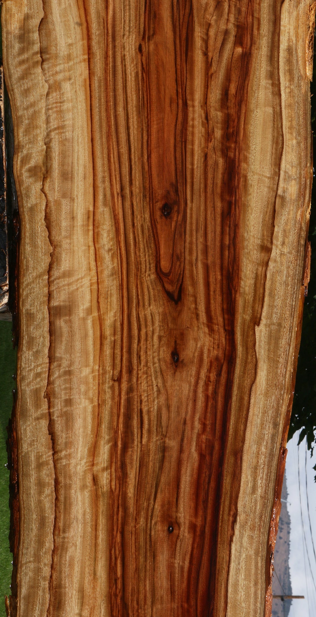 Extra Fancy Camphor Live Edge Lumber