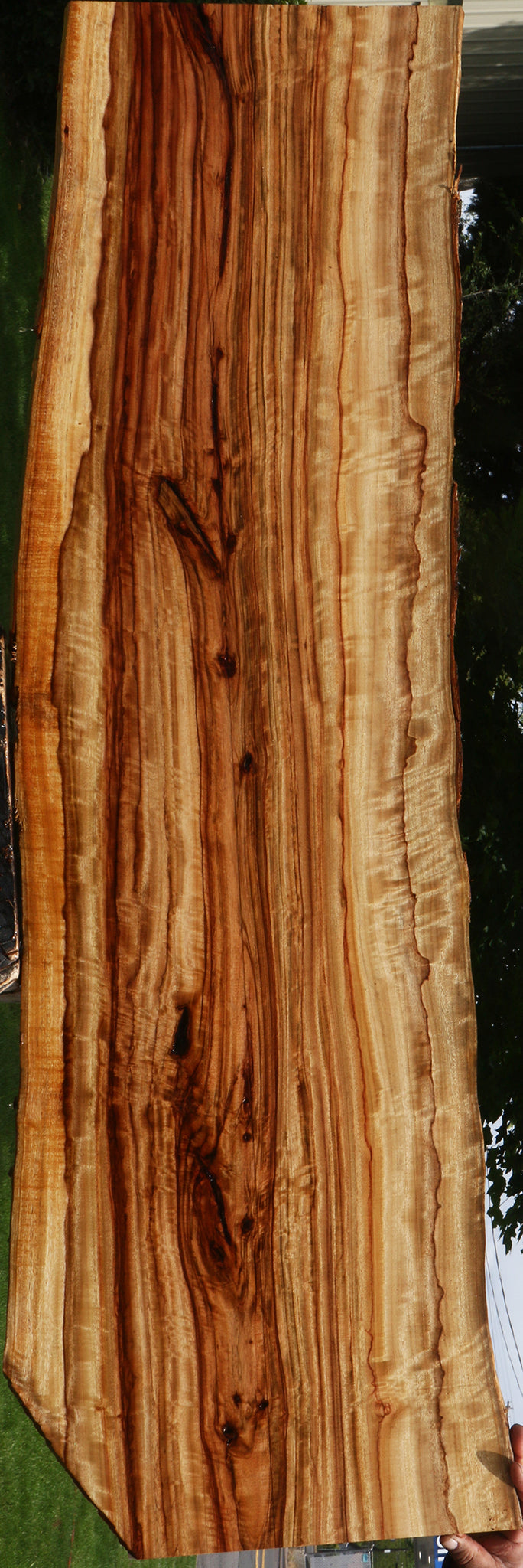 Extra Fancy Camphor Live Edge Lumber