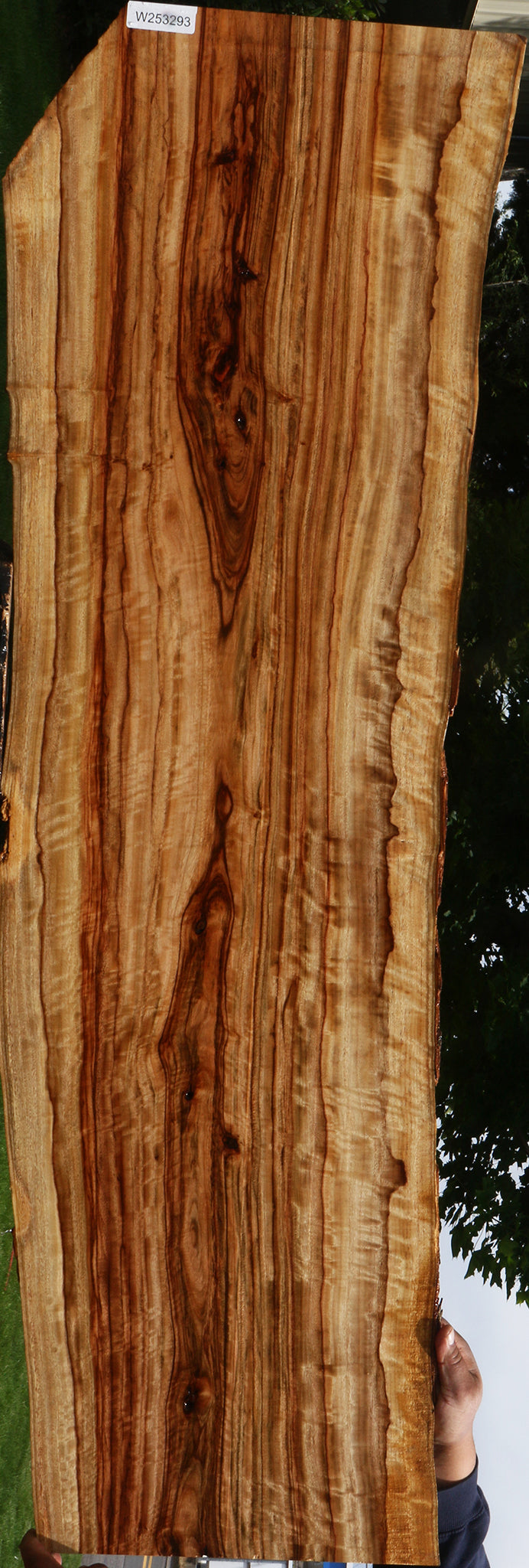 Extra Fancy Camphor Live Edge Lumber