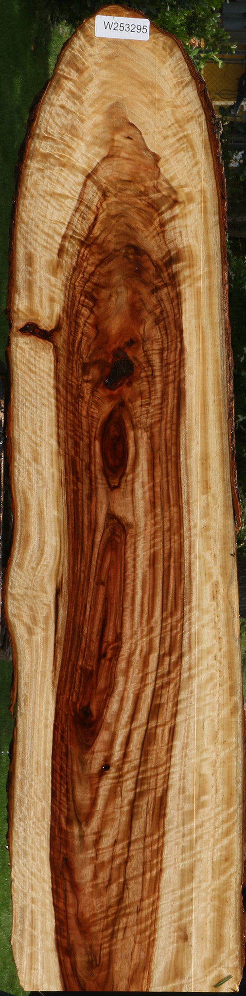 Extra Fancy Camphor Live Edge Lumber