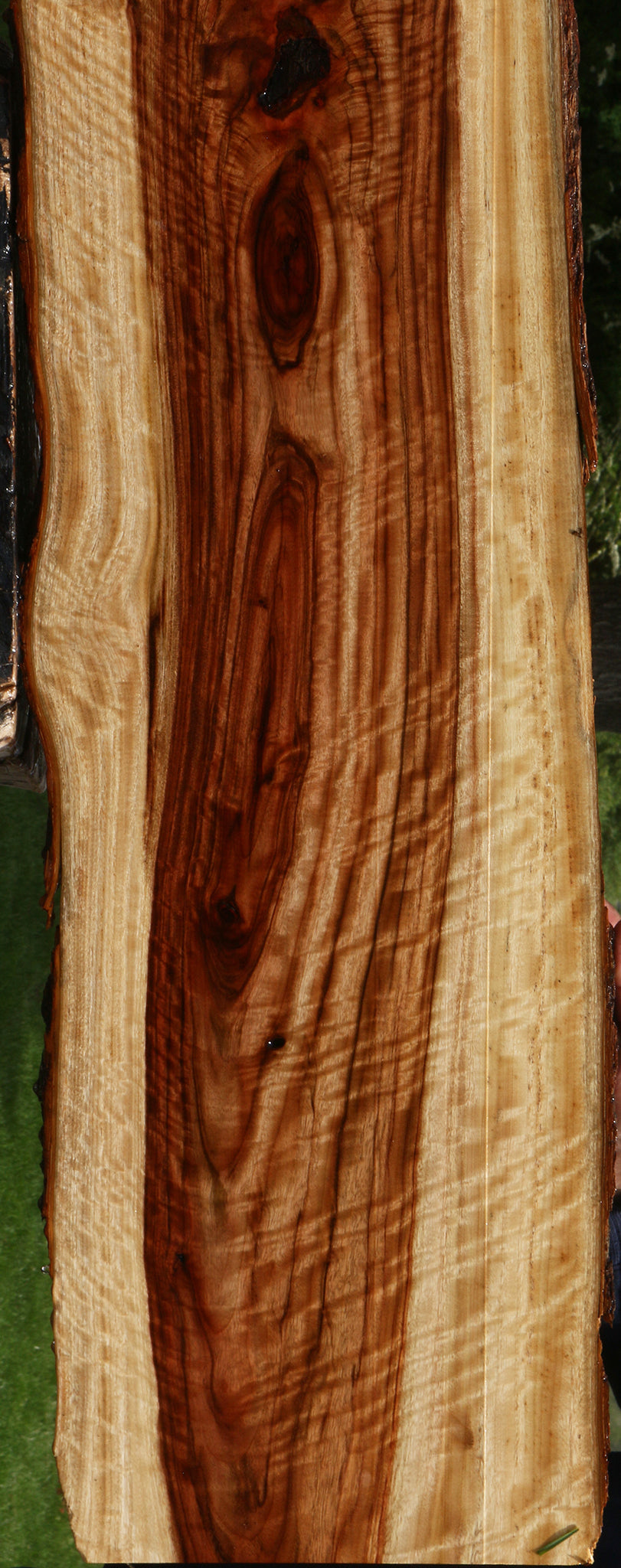 Extra Fancy Camphor Live Edge Lumber