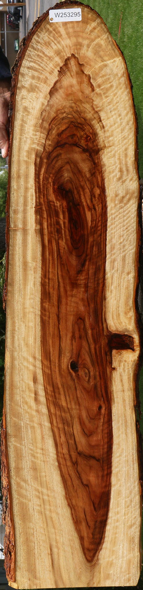 Extra Fancy Camphor Live Edge Lumber