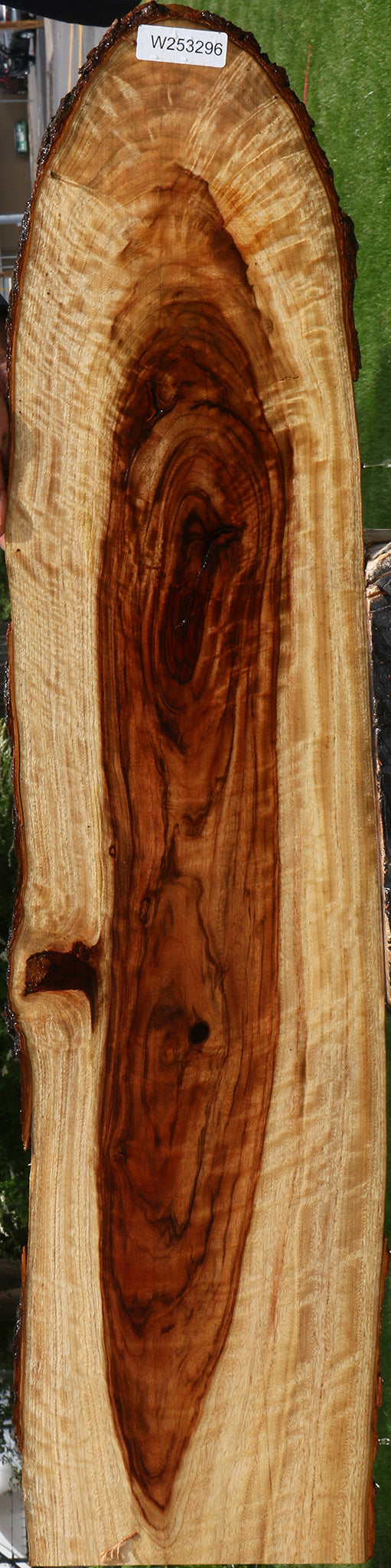 Extra Fancy Camphor Live Edge Lumber