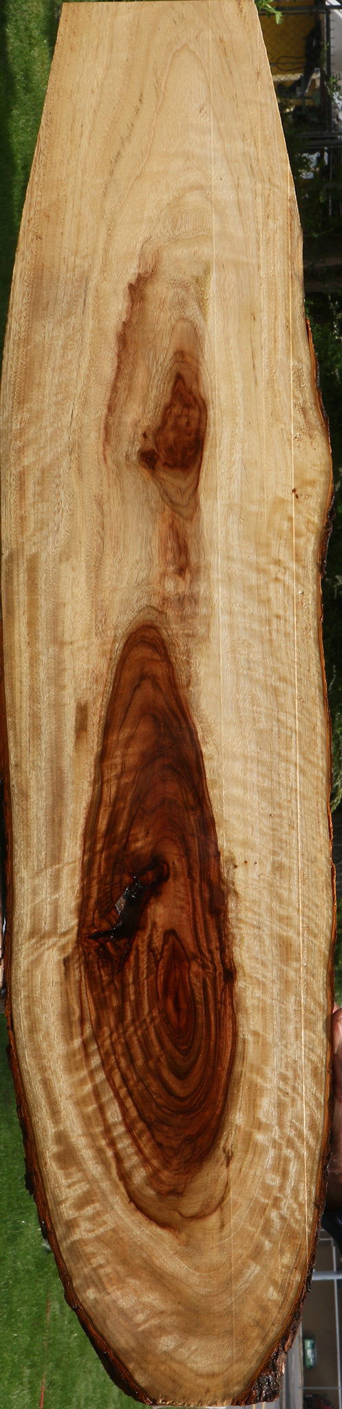 Extra Fancy Camphor Live Edge Lumber