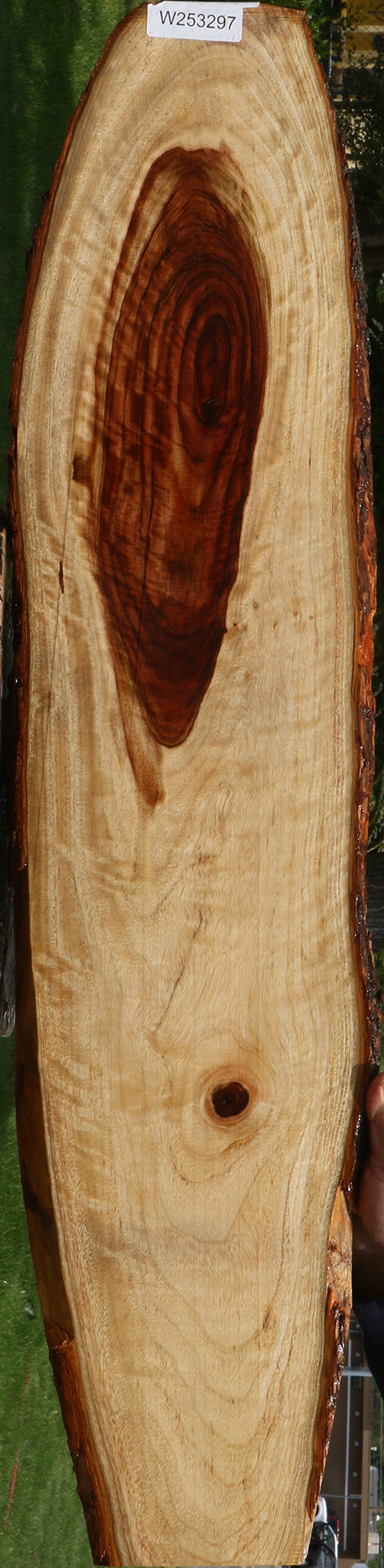Extra Fancy Camphor Live Edge Lumber