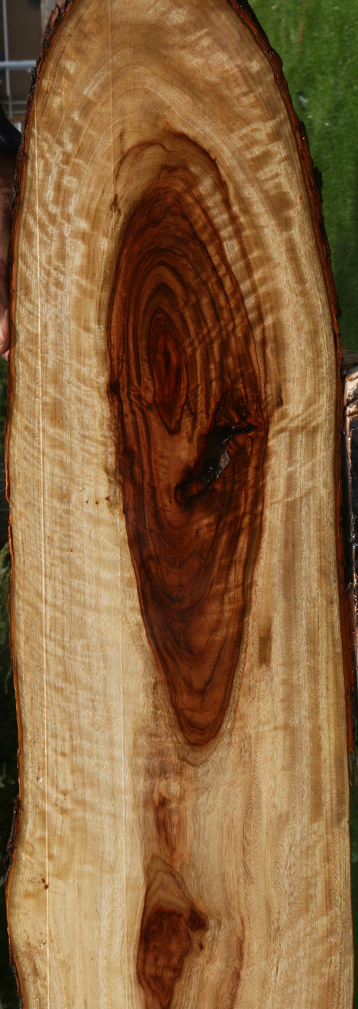 Extra Fancy Camphor Live Edge Lumber