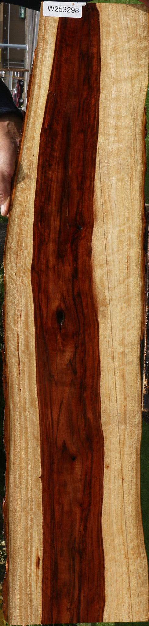 Extra Fancy Camphor Live Edge Lumber