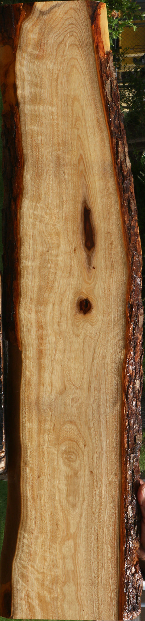 Extra Fancy Camphor Live Edge Lumber