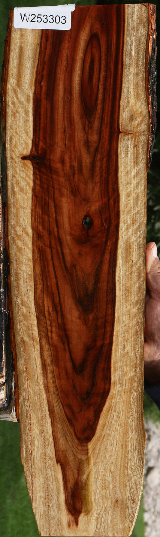 Figured Camphor Live Edge Lumber
