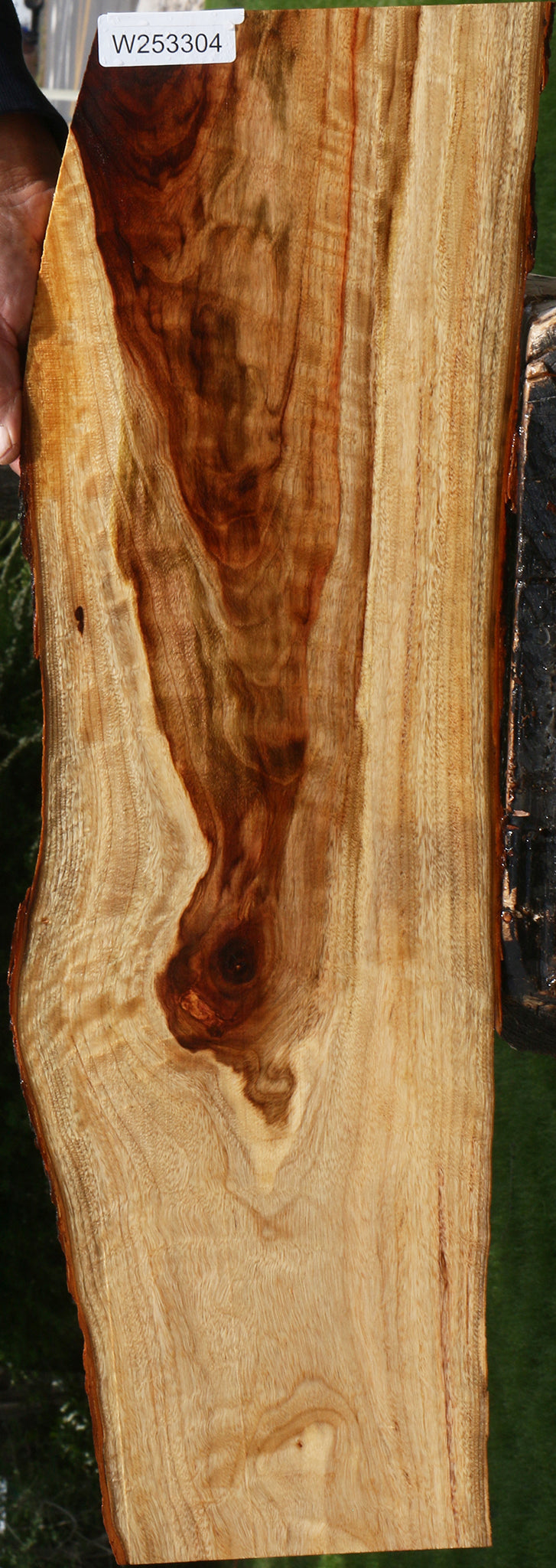 Figured Camphor Live Edge Lumber