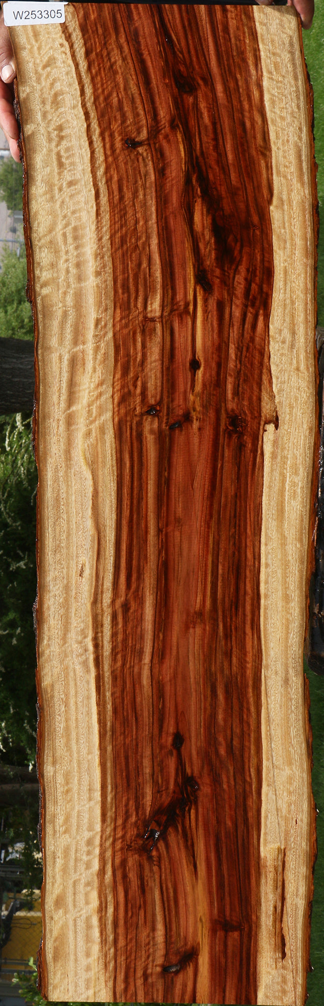 Extra Fancy Camphor Live Edge Lumber