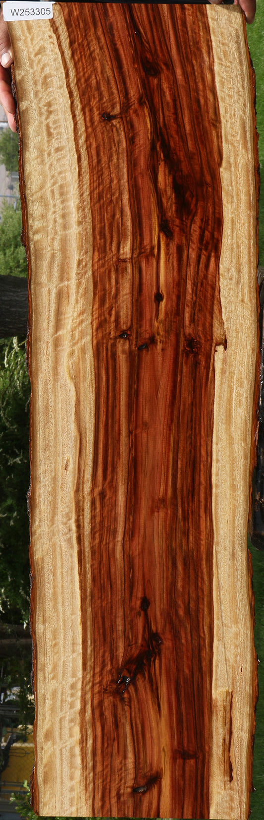 Extra Fancy Camphor Live Edge Lumber