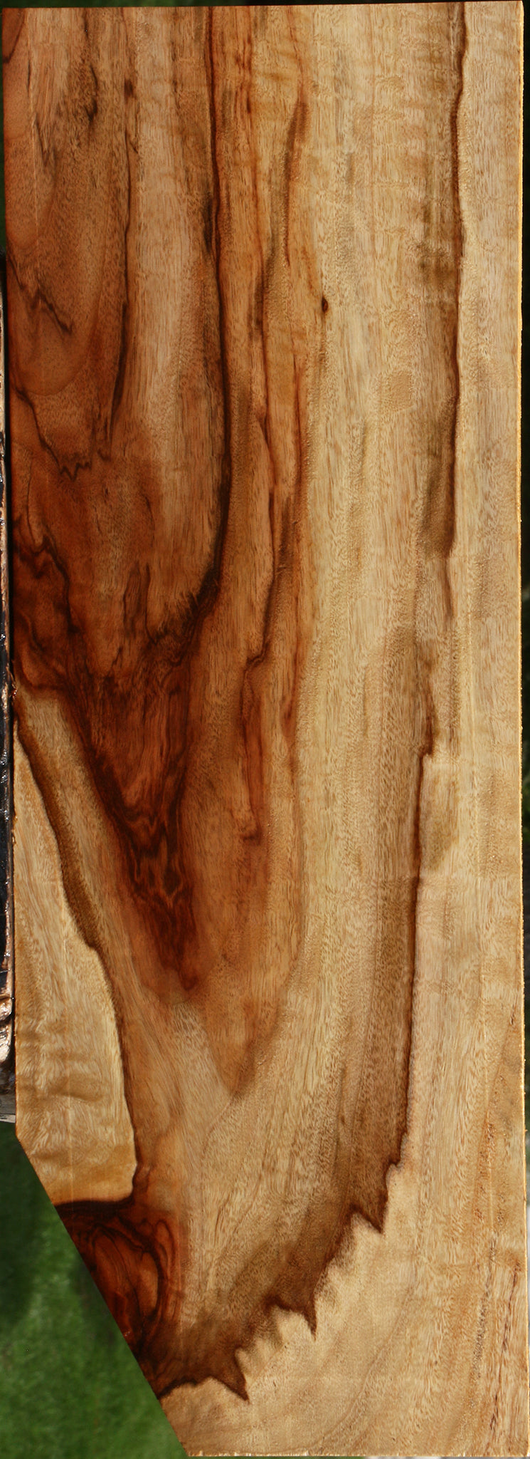 Extra Fancy Camphor Drop Top Billet