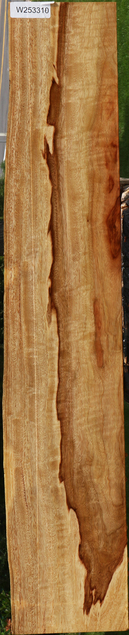 Figured Camphor Live Edge Lumber