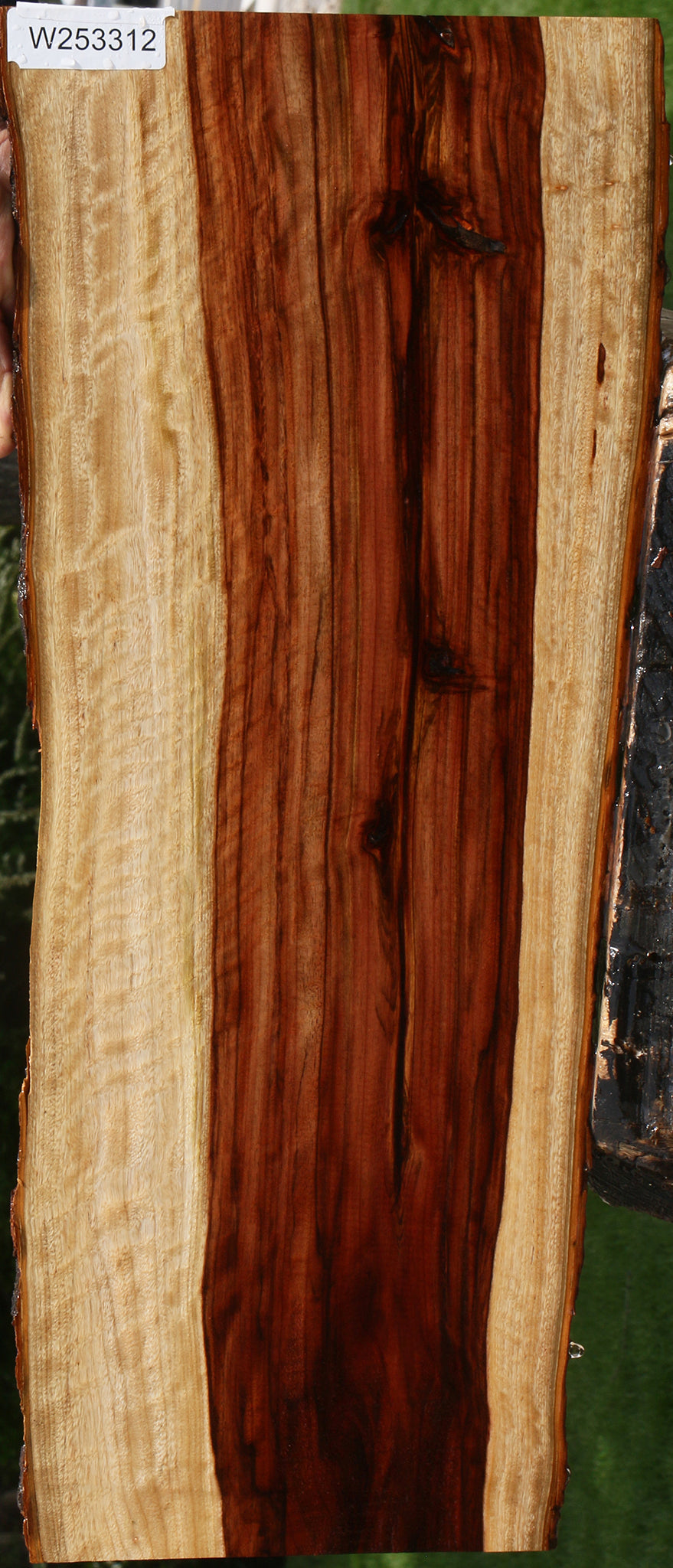 Figured Camphor Live Edge Lumber