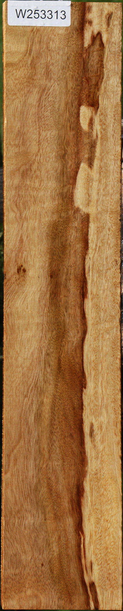 Camphor Lumber
