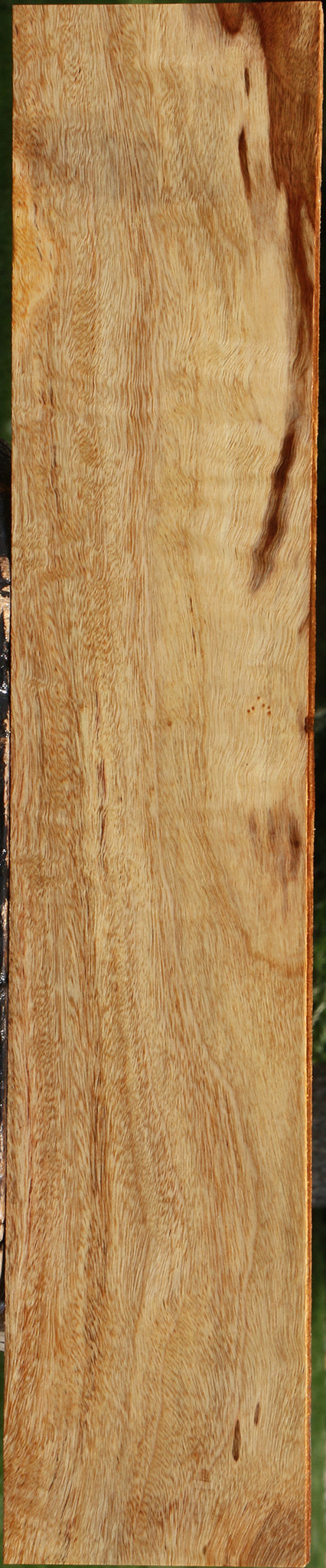 Camphor Lumber