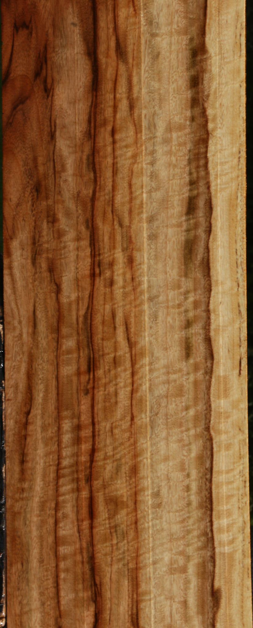 Extra Fancy Camphor Lumber