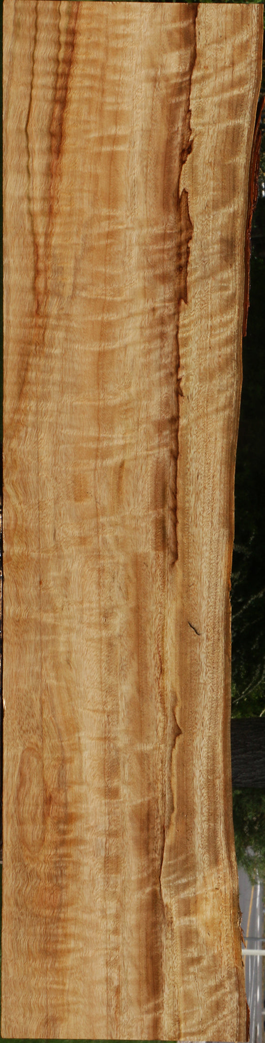 Figured Camphor Live Edge Lumber