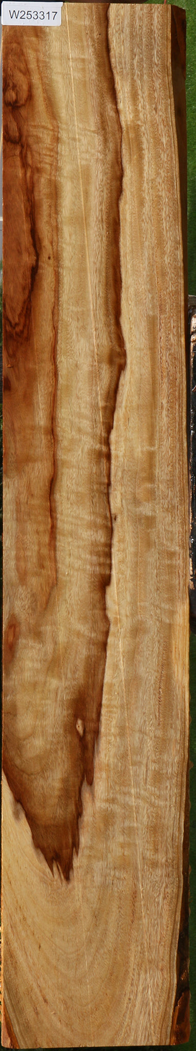 Figured Camphor Lumber