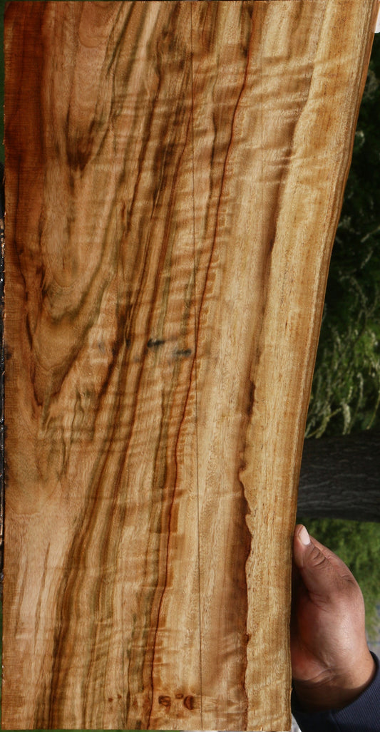 Extra Fancy Camphor Live Edge Drop Top Billet