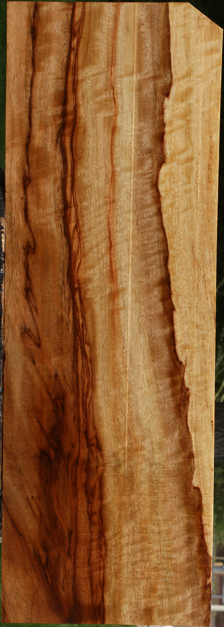 Extra Fancy Camphor Lumber