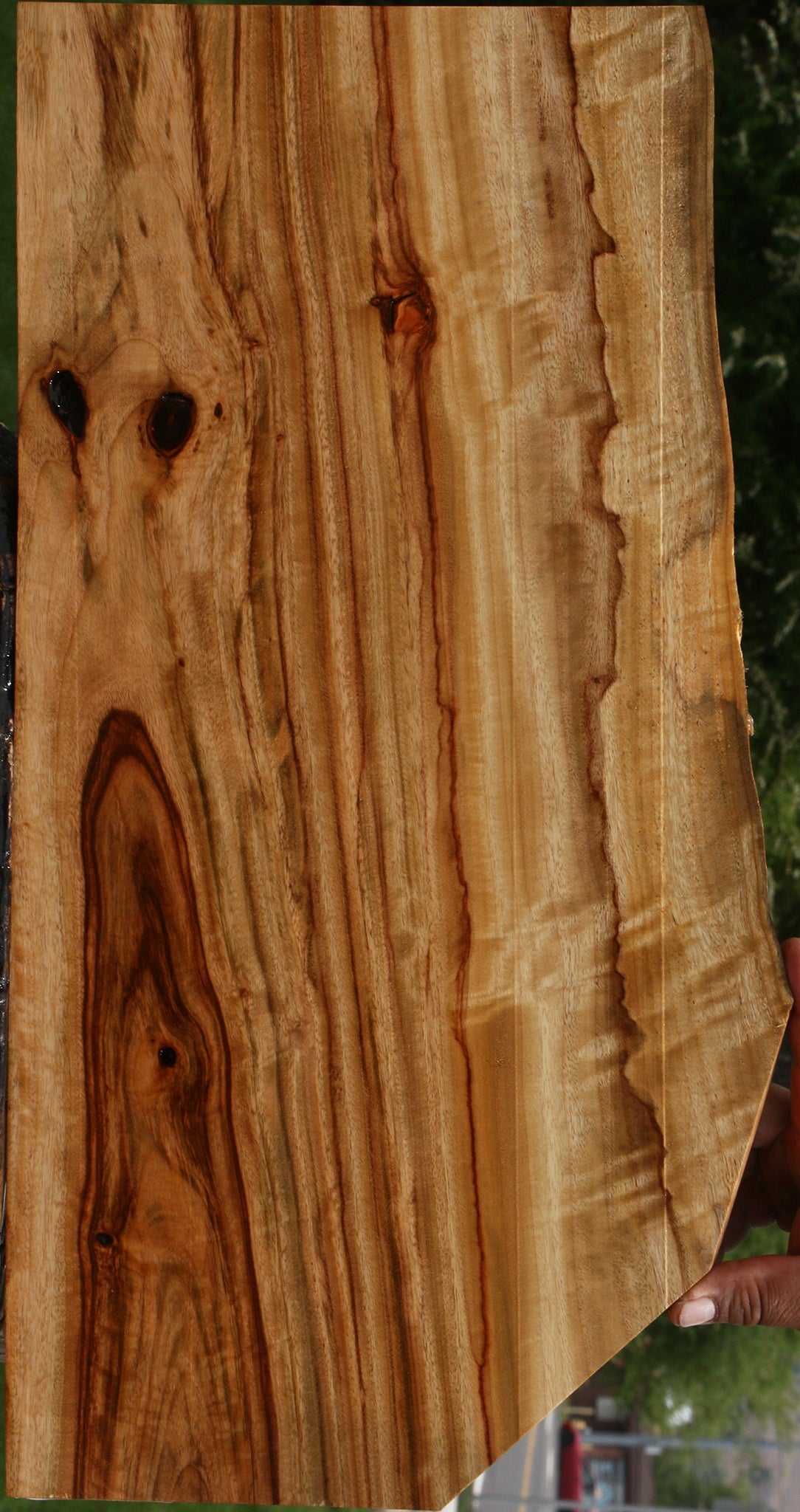 Extra Fancy Camphor Live Edge Lumber