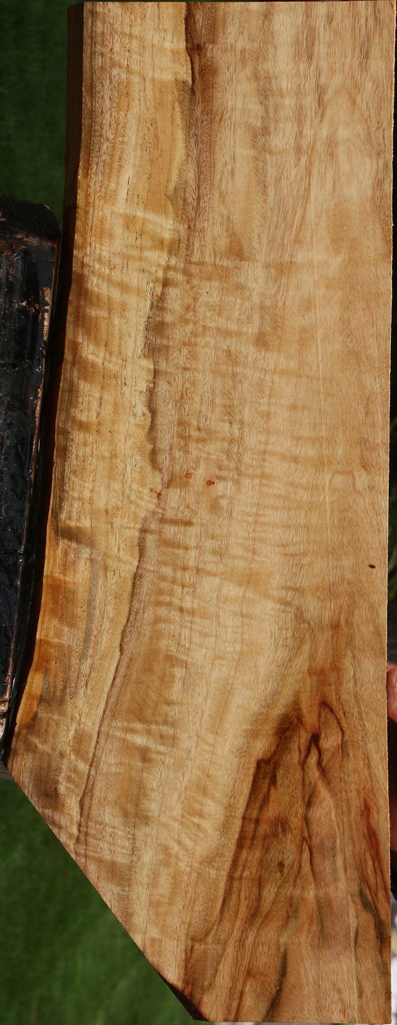 Extra Fancy Camphor Live Edge Lumber