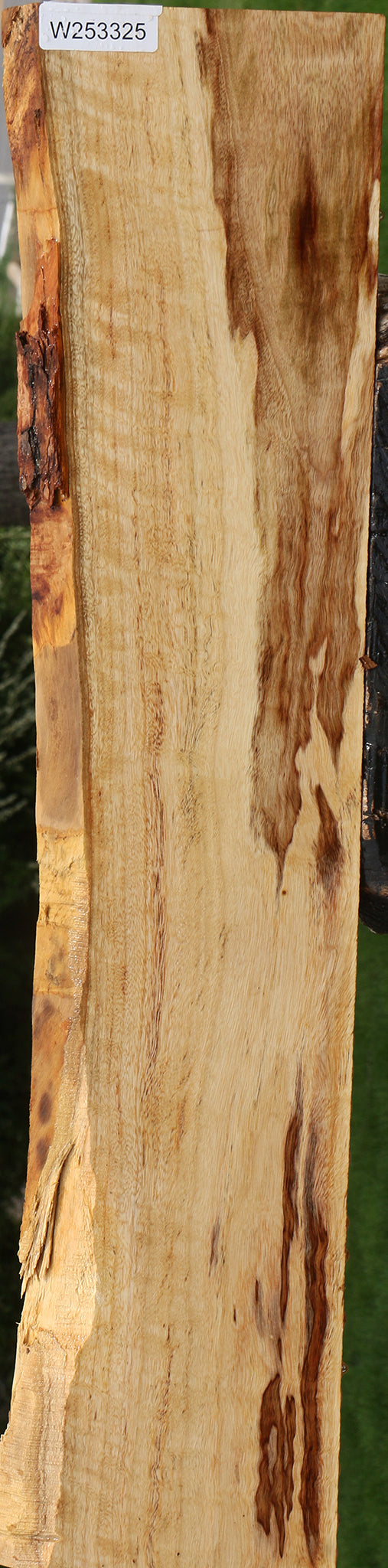 Figured Camphor Live Edge Lumber
