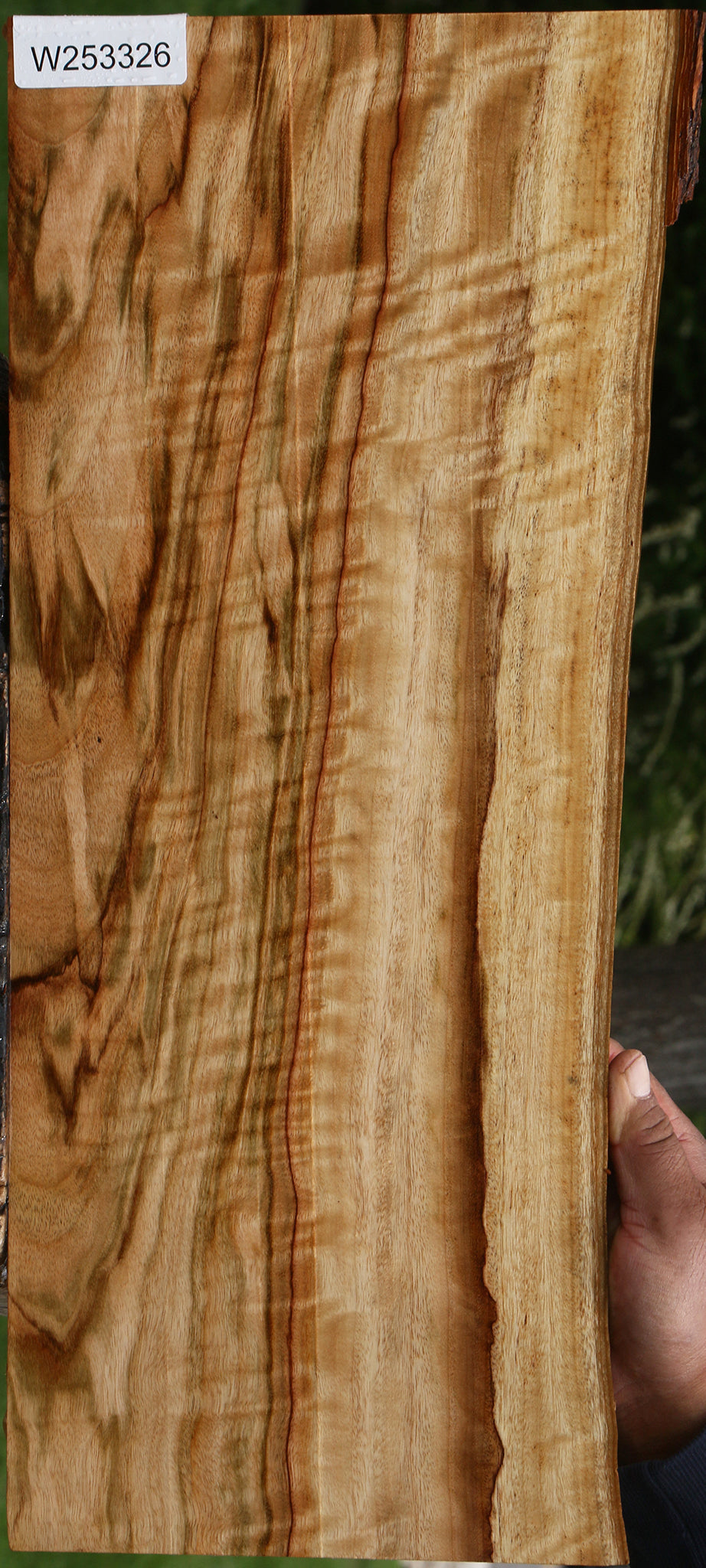 Extra Fancy Camphor Live Edge Lumber