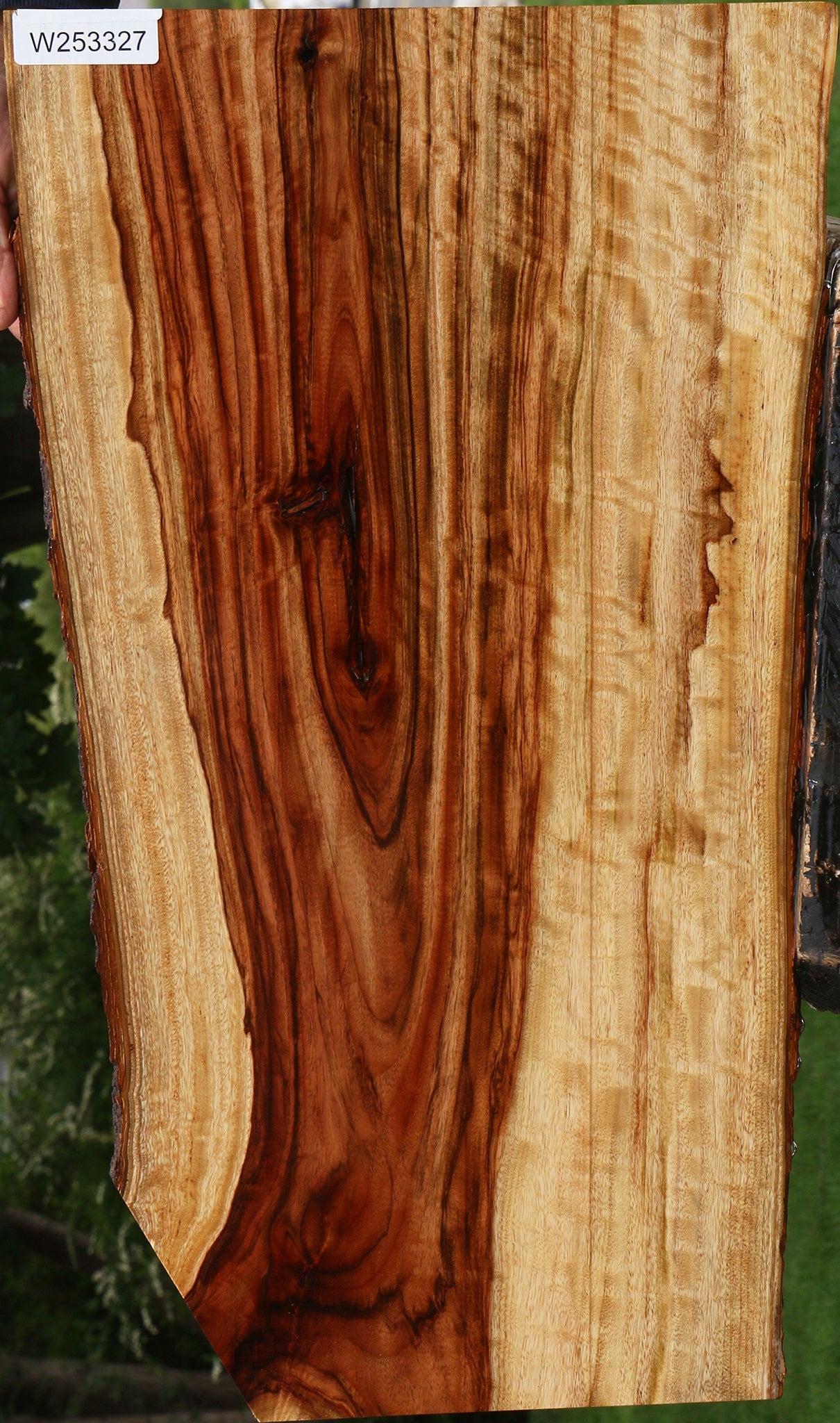 Extra Fancy Camphor Live Edge Lumber