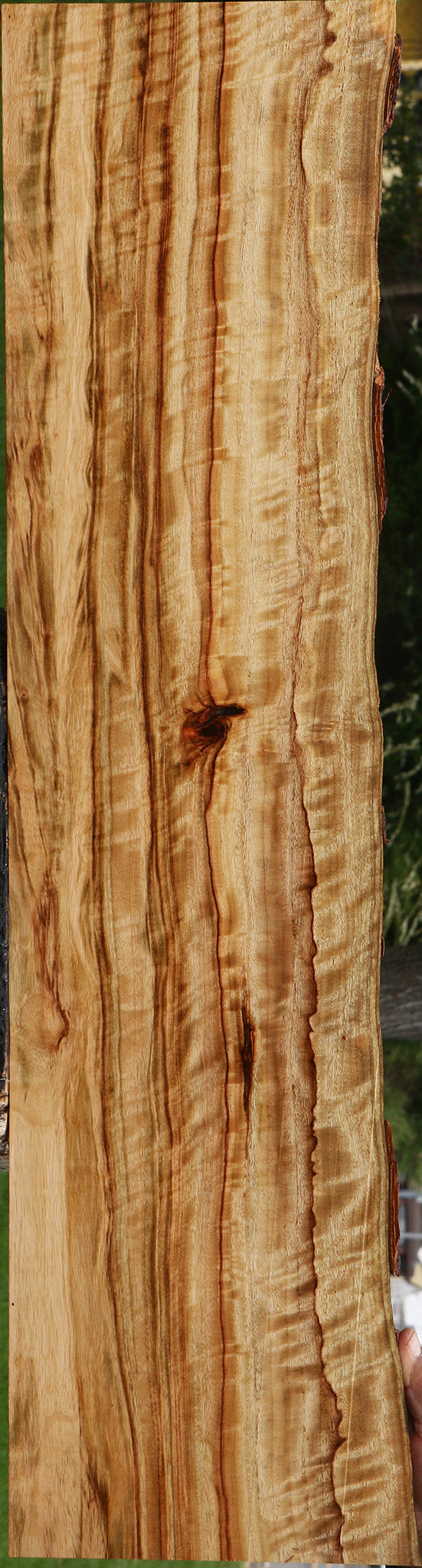 Extra Fancy Camphor Live Edge Lumber