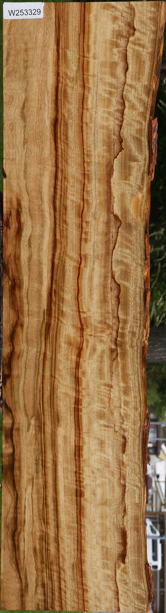 Extra Fancy Camphor Live Edge Lumber