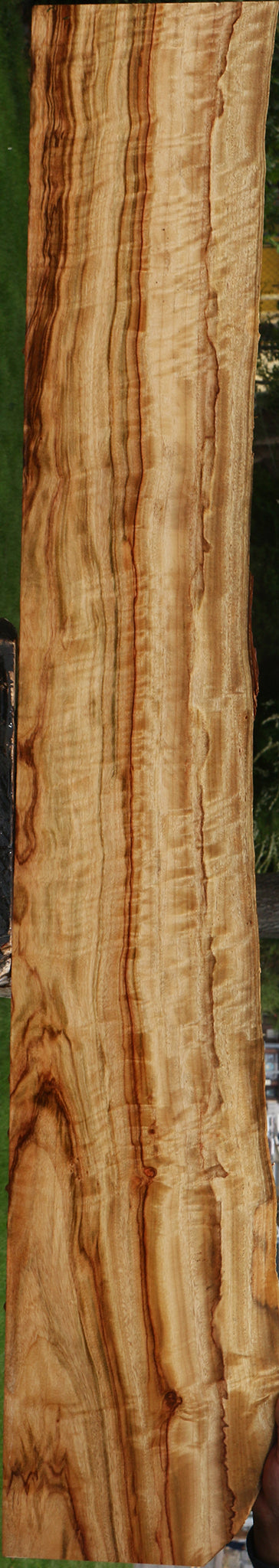 Extra Fancy Camphor Live Edge Lumber