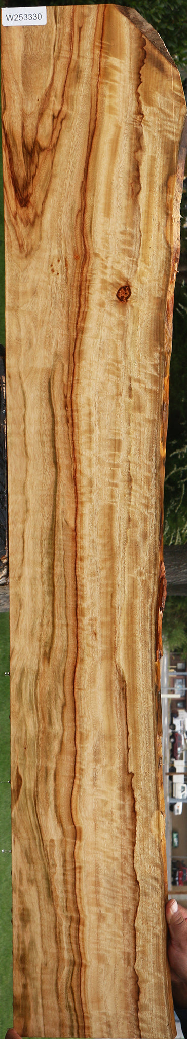 Extra Fancy Camphor Live Edge Lumber