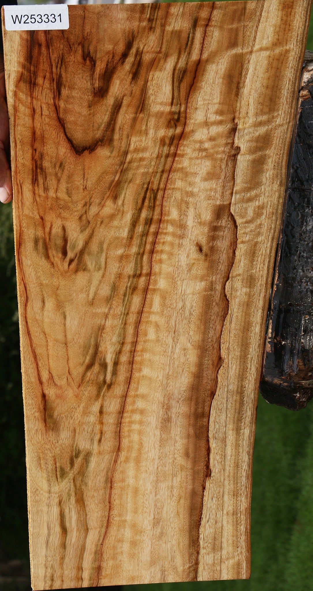 Extra Fancy Camphor Live Edge Lumber