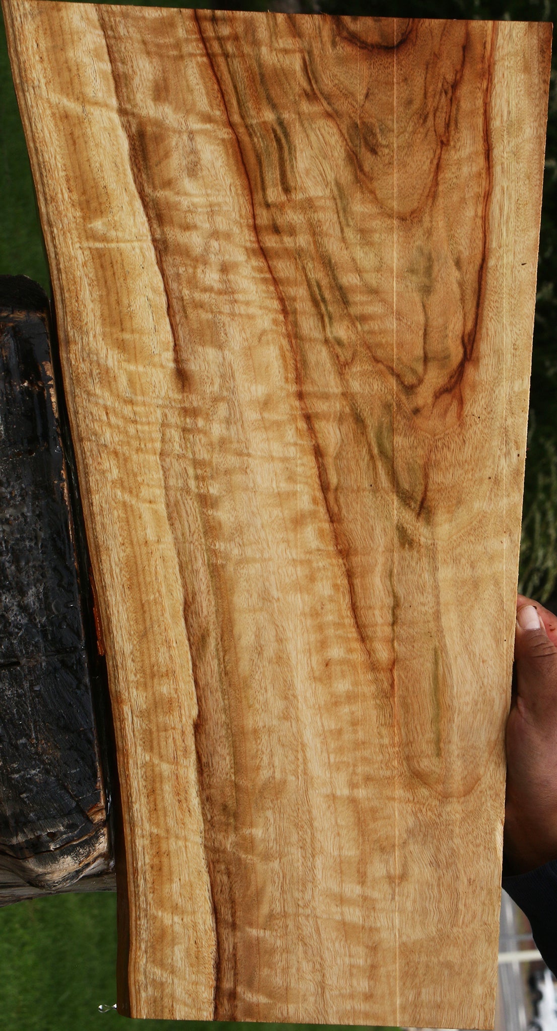 Extra Fancy Camphor Live Edge Lumber