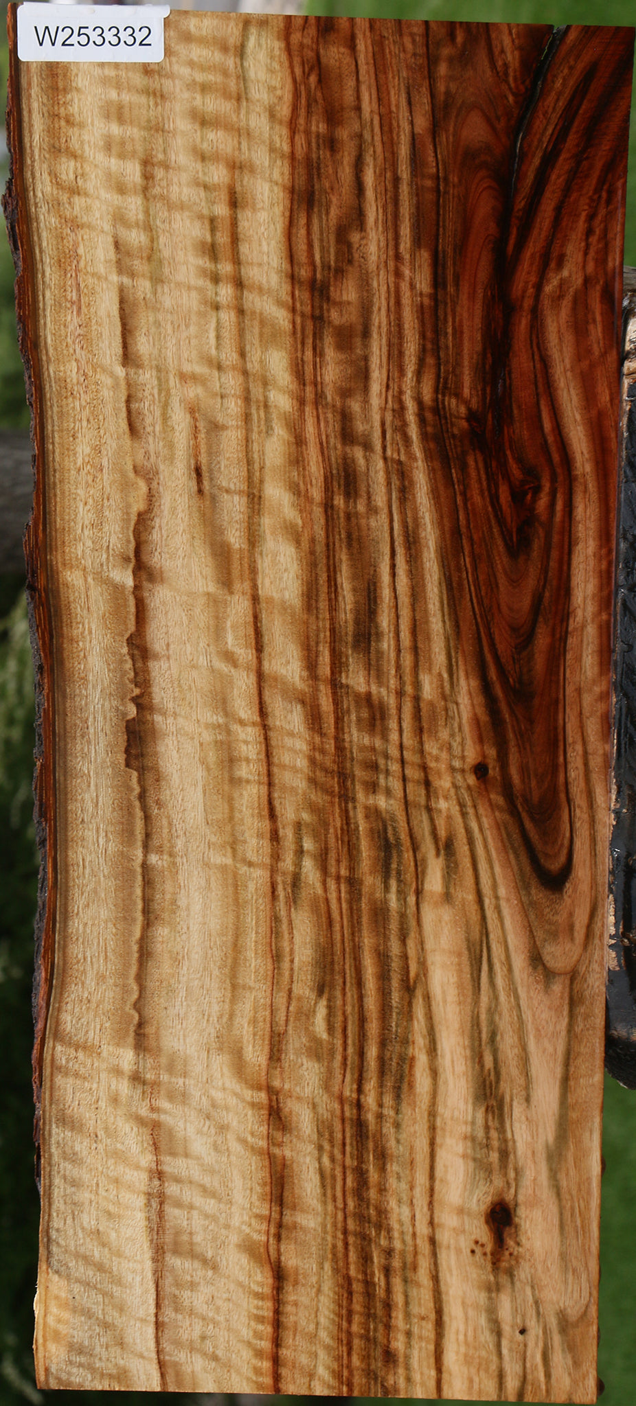Extra Fancy Camphor Live Edge Lumber