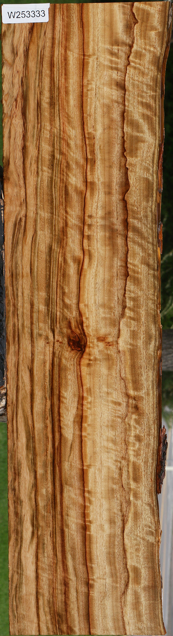 Extra Fancy Camphor Live Edge Lumber